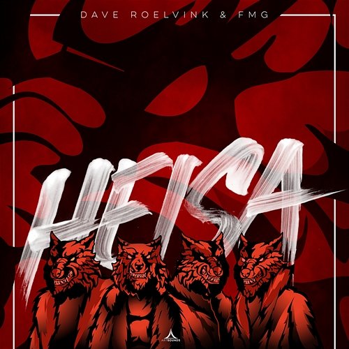 Heisa FMG, Dave Roelvink