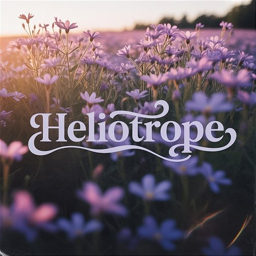 Heliotrope Dust Shapes