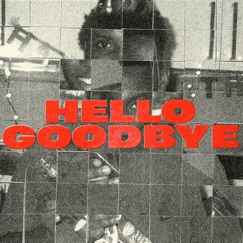 Hello Goodbye Stevan