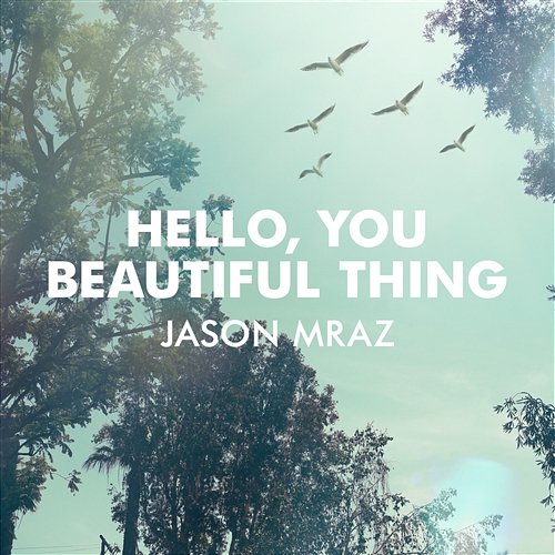 Hello, You Beautiful Thing Jason Mraz
