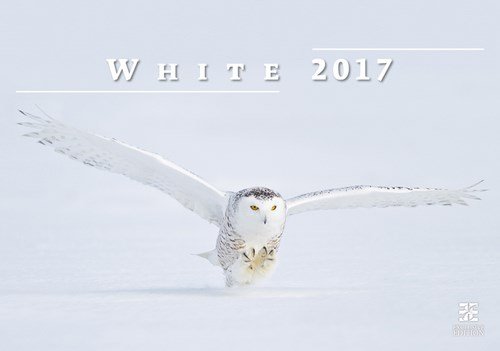 Helma, kalendarz ścienny 2017, Biały Helma 365