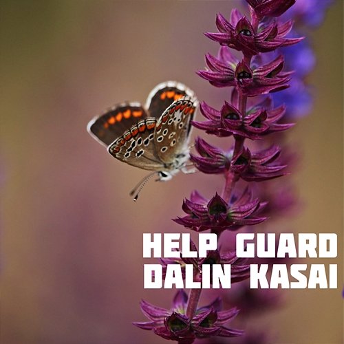 Help Guard Dalin Kasai