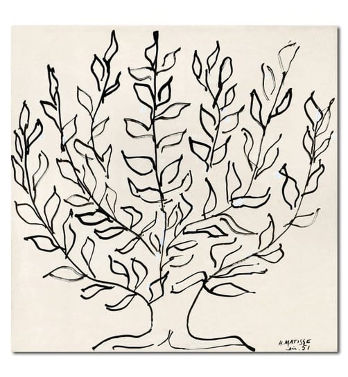 Henri Matisse, DRZEWO 01 plakat 70x70 cm DEKORAMA