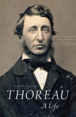 Henry David Thoreau Walls Laura Dassow