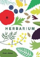 Herbarium Hildebrand Caz