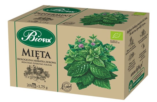 Herbata ziołowa Biofix mięta 20 szt. Bifix