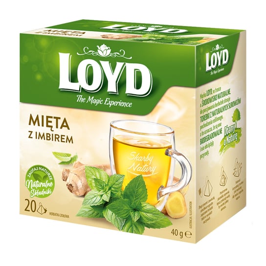 Herbatka ziołowa Loyd Mięta z imbirem 20 torebek Loyd Tea
