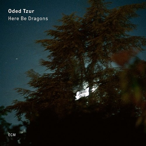 Here Be Dragons Oded Tzur
