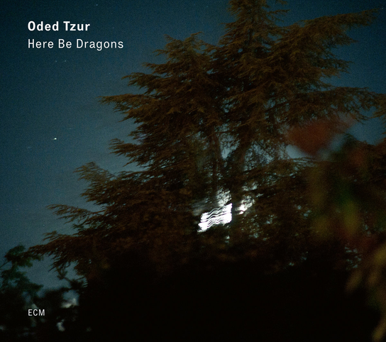 Here Be Dragons Tzur Oded