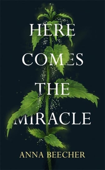 Here Comes the Miracle Anna Beecher
