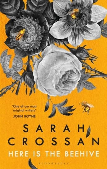 Here is the Beehive: Shortlisted for Popular Fiction Book of the Year in the AN Post Irish Book Awar Sarah Crossan