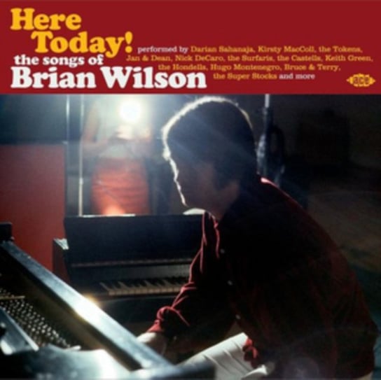 Here Today! The Songs Of Brian Wilson Various Artists