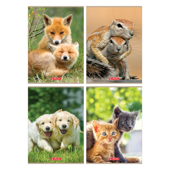 Herlitz, zeszyt w kratkę, Animals, format A4, 32 kartki Herlitz