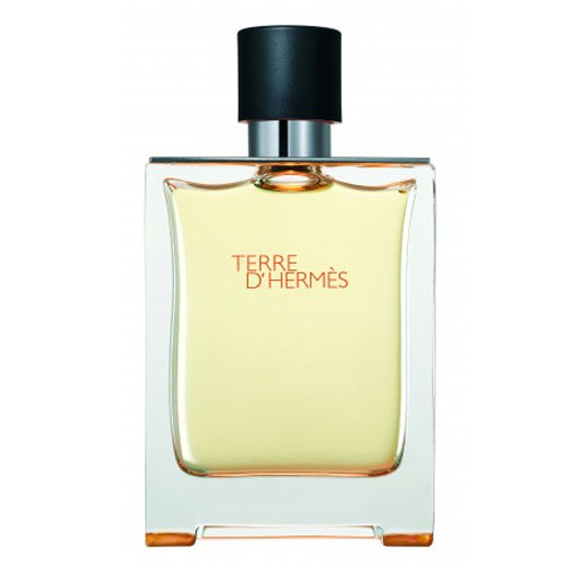 Hermes, Terre d'Hermes, woda toaletowa, 100 ml Hermes