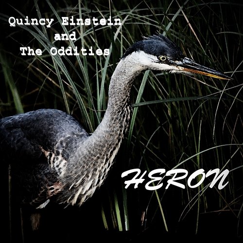 Heron Quincy Einstein and The Oddities