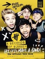 Hey, let's Make a Band! Seconds Of Summer 5.