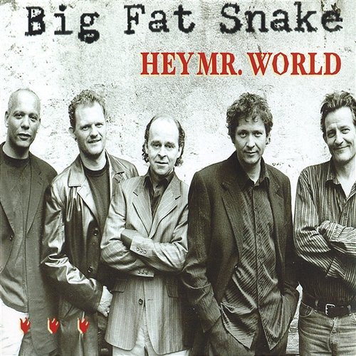 Hey Mr. World Big Fat Snake