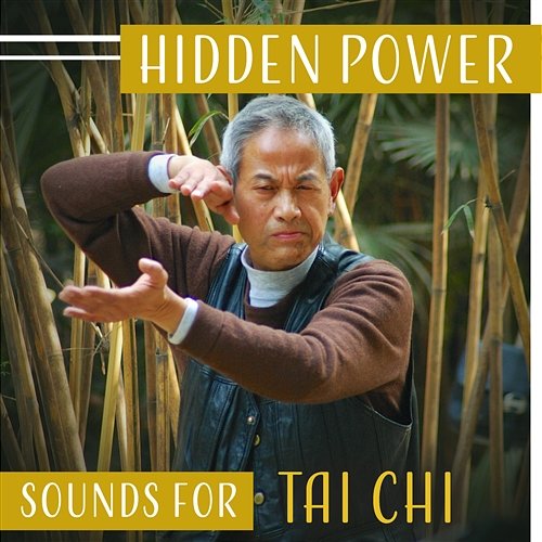 Hidden Power – Sounds for Tai Chi: Mindfulness Exercises, Martial Art Practice, Personal Health, Inner Peace, Will & Strength Tai Chi Spiritual Moments