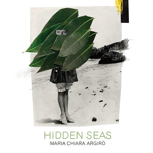 Hidden Seas Maria Chiara Argirò