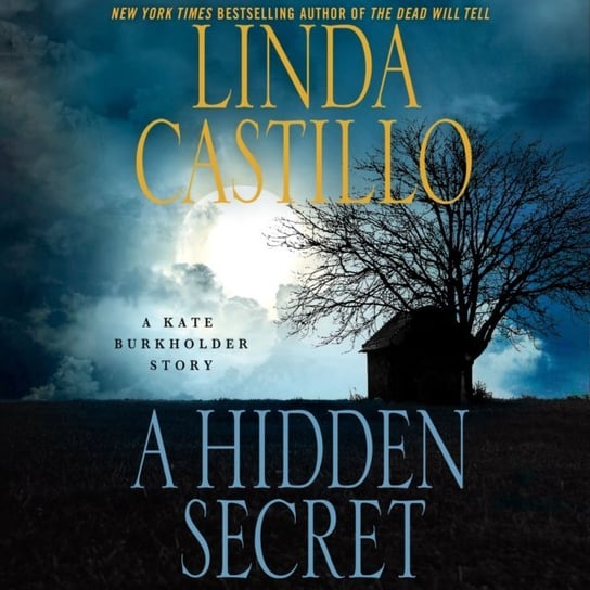 Hidden Secret Castillo Linda