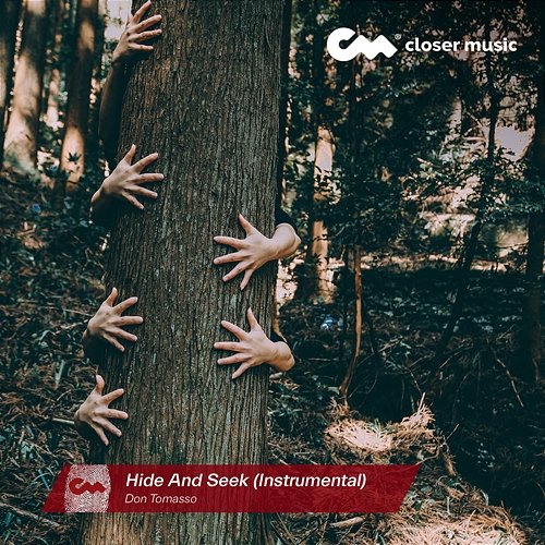 Hide and Seek Don Tomasso