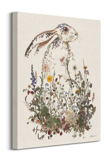 Hiding Hare - obraz na płótnie Art Group
