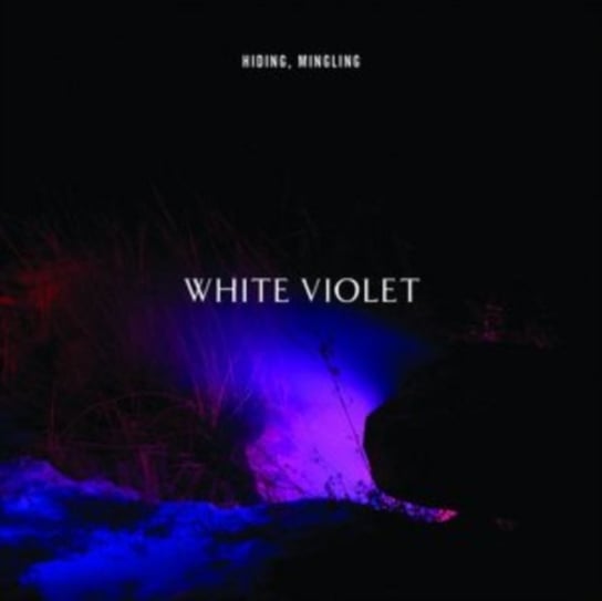 Hiding, Mingling White Violet