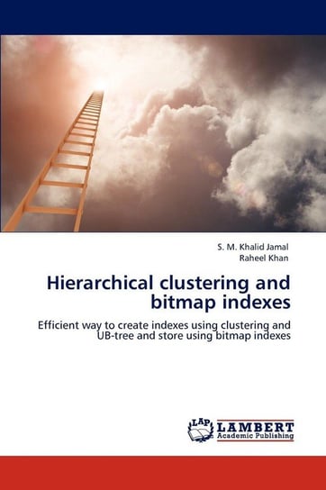Hierarchical clustering and bitmap indexes Jamal S. M. Khalid