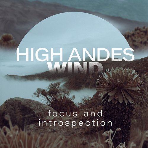 High Andes Wind: Focus And Introspection White Sounds