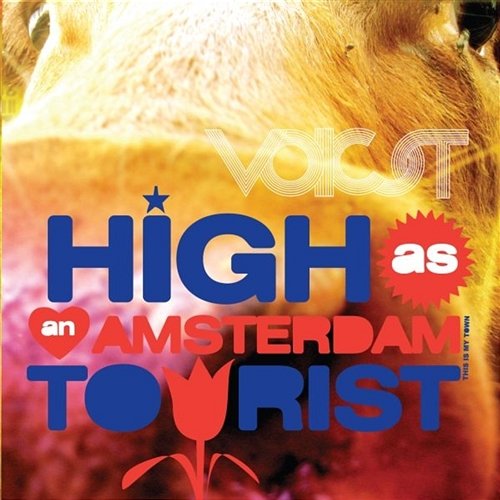 High As An Amsterdam Tourist Voicst