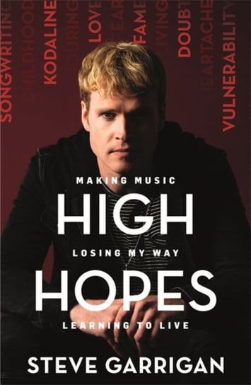 High Hopes: Making Music, Losing My Way, Learning to Live Steve Garrigan