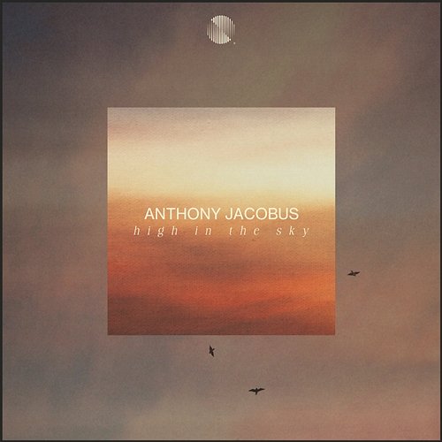 High In The Sky Anthony Jacobus