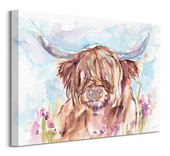 Highland Cow - obraz na płótnie Art Group