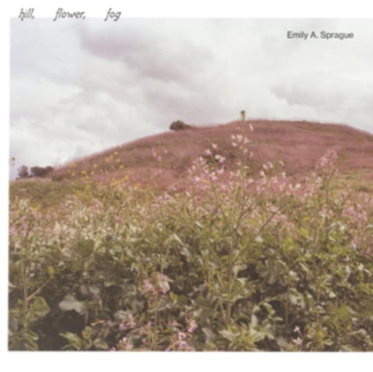 Hill, Flower, Fog Sprague Emily A.