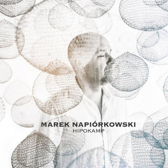 Hipokamp Napiórkowski Marek