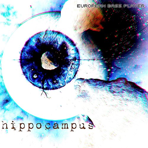 Hippocampus European Bass Player