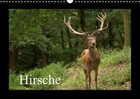 Hirsche (Wandkalender 2014 DIN A3 quer) Klatt Arno