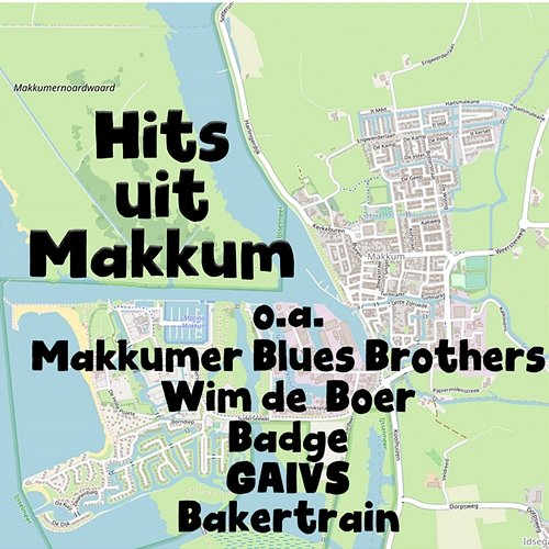Hits Uit Makkum Various Artists