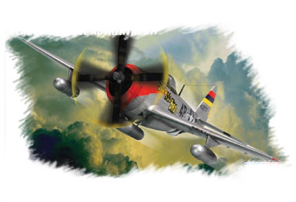 Hobby Boss, P47D Thunderbolt, Model do sklejania, 12+ Thunderbolt