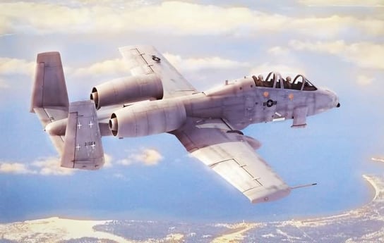 Hobby Boss, Samolot N/Aw A-10A Thunderbolt Ii 1/48 Hobby Boss