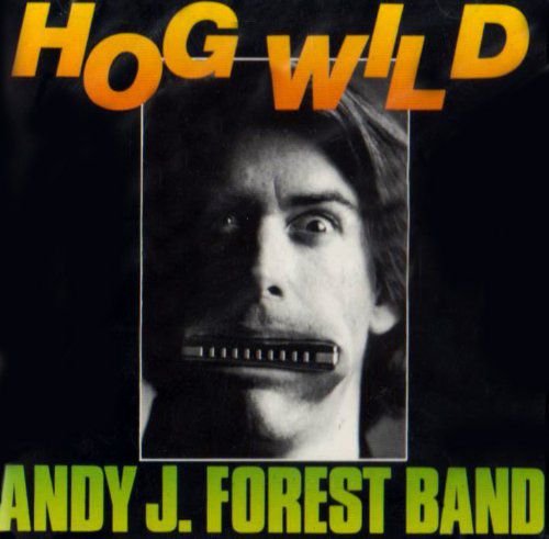 Hog Wild Various Artists