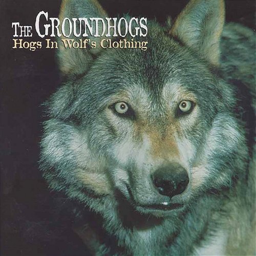 Hogs in Wolf's Clothing The Groundhogs