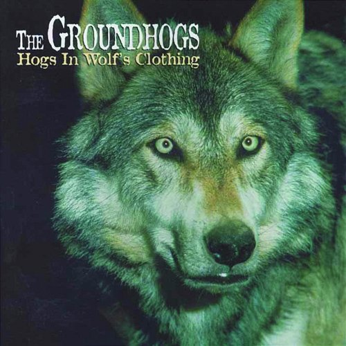 Hogs In Wolf's Clothing The Groundhogs