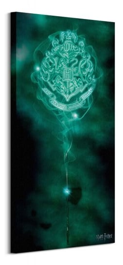 Hogwarts Crest Patronus - obraz na płótnie Pyramid Posters