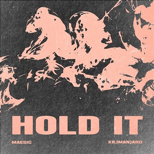 Hold It ZenTola, Maesic, Kilimanjaro