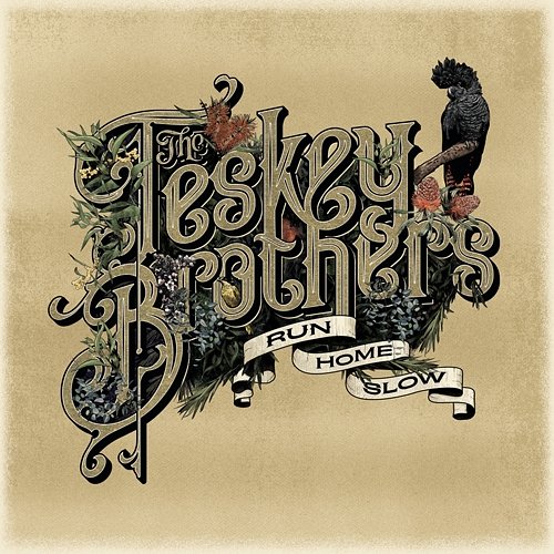 Hold Me The Teskey Brothers
