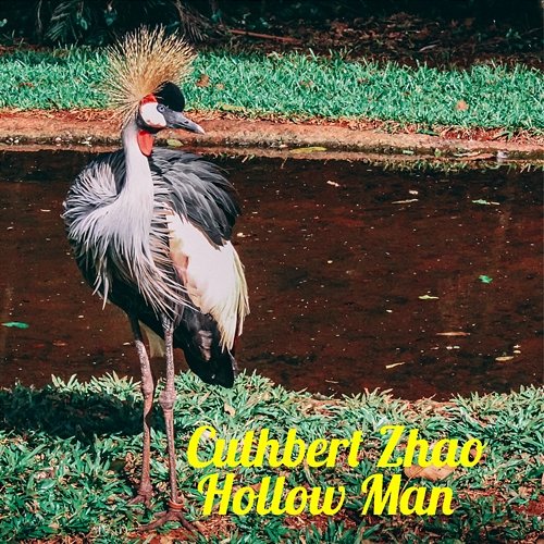 Hollow Man Cuthbert Zhao