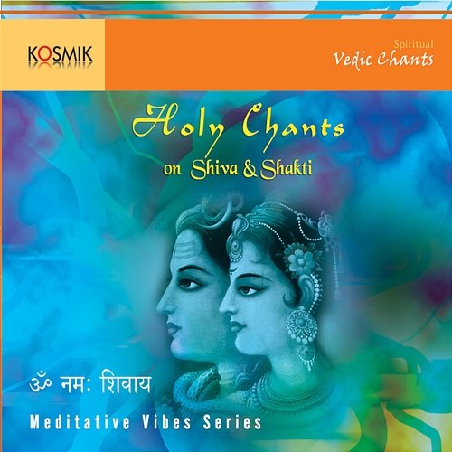 Holy Chants On Shiva And Shakti Stephen Devassy