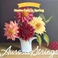 Home Cafe in Spring Aurora Strings