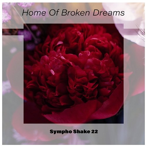 Home Of Broken Dreams Sympho Shake 22 Various Artists